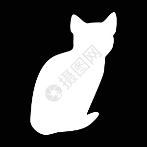 猫集合矢量 silhouett草图跳跃动物黑色朋友宠物冒充绘画小猫团体图片