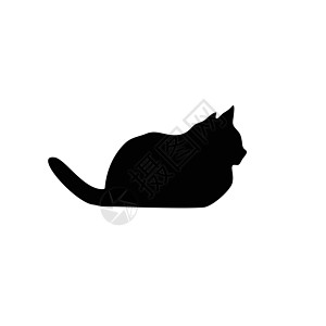 猫集合矢量 silhouett阴影黑色动物宠物尾巴猫科动物插图朋友草图跳跃图片