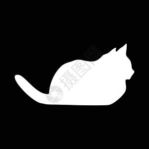 猫集合矢量 silhouett黑色卡通片绘画插图哺乳动物冒充动物猫科动物尾巴艺术图片