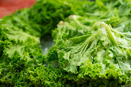 潮湿市场绿色的新鲜生菜卷心菜图片