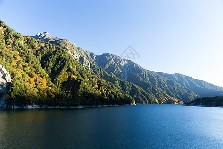 美丽的湖泊远足植物顶峰晴天黑部水库蓝色季节峡谷立山图片