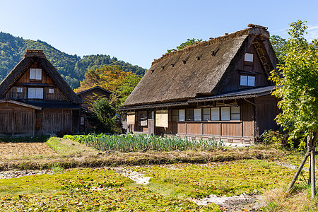 世界遗产白川go文化场地房子草地蔬菜地标遗产村庄旅行农村图片