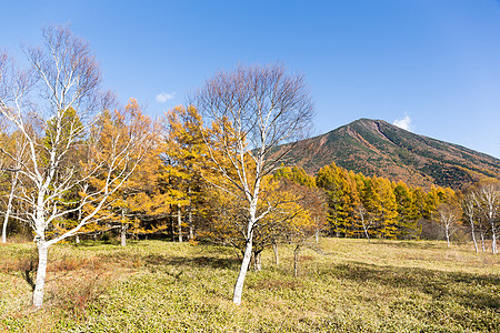 日本Nikko南台山图片