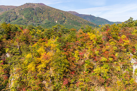 蝼蝈鸣秋天的纳鲁科峡谷叶子鸣子岩石公园季节背景