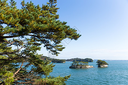 松岛日阳光明媚松树天空海洋海岸蓝色森林旅行岛屿海景植物图片