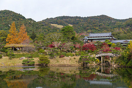 秋日日本美丽的花园图片