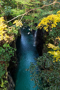 秋天在日本高原峡谷树叶公园叶子季节绿色瀑布悬崖黄色旅行森林图片