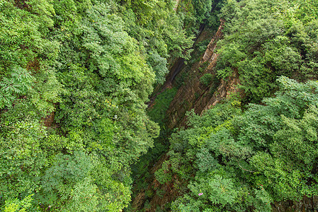 中国湖南Wwlingyuuan国家森林公园旅游悬崖文化森林爬坡旅行游客世界地标公园图片