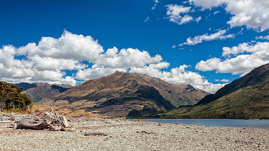 塞里木湖瓦纳卡湖岸边的草木背景