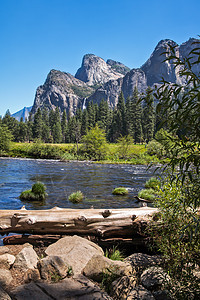 Yosemite 地貌风景松树森林旅游地质学旅行悬崖晴天顶峰瀑布图片