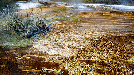 黄石公园的哺乳炎热泉气氛矿物质火山地热游客吸引力化石荒野长毛地球图片