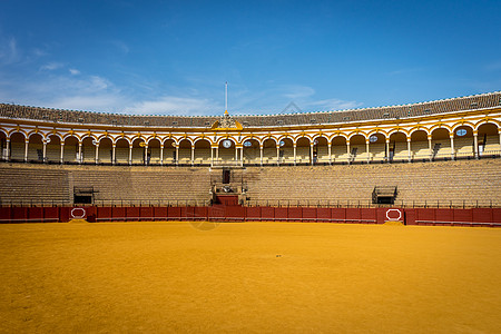 塞维利亚 西班牙 欧洲的斗牛场广场娱乐传统旅游访客访问戒指体育场馆人群动物图片