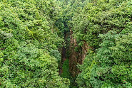 中国湖南Wwlingyuuan国家森林公园文化场地旅行国家森林悬崖风景爬坡公园遗产图片