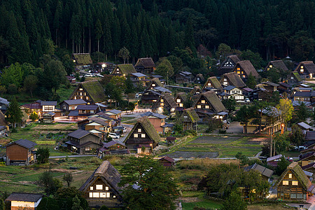 夜里白川君图片