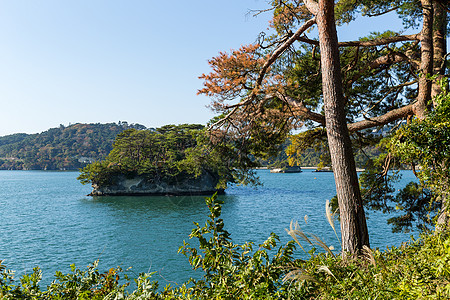 日本松岛旅游松树海景地标旅行蓝色风景岛屿游客吸引力图片