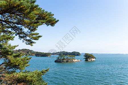 松岛天空游客阳光场景海岸蓝色旅行森林旅游植物图片