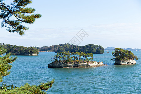 日本的松岛群岛海岸森林村庄阳光游客场景港口蓝色海洋晴天图片