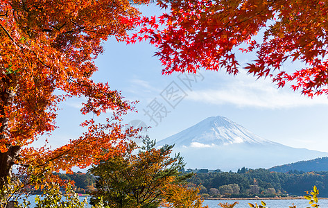 秋天女装川口湖富士山和秋天树叶场景树木湖泊农村公吨反射火山叶子旅行红叶背景