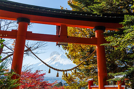 神社绳索地标藤山高清图片