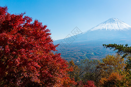 秋天女装藤和火山宗教叶子浅间建筑晴天蓝色爬坡阳光季节背景