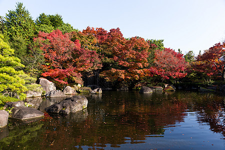 传统日本Kokoen花园 配有青树图片