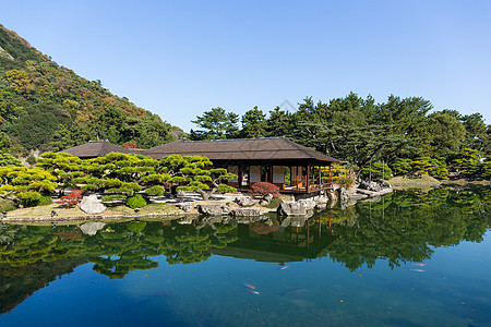 日本里草林花园花园树木蓝色行人文化传统池塘水池天桥公园图片