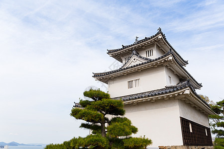 日本马鲁伽美城堡建筑学四国山顶地标天空蓝色遗产建筑文化旅行图片