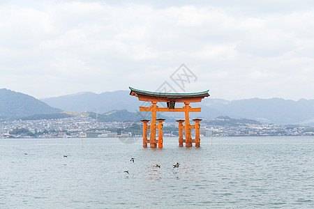 其岛岛的Isukusima神社浮转的Torrii门图片