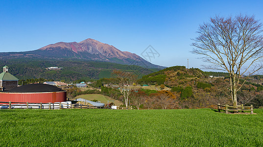 岛山的美丽风景牧场国家场地森林天空农场羊肉农村蓝色动物图片