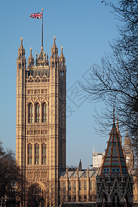 Sunlit 议会众议院的观点地标石头纪念碑历史金子房屋天空建筑学旗帜蓝色图片