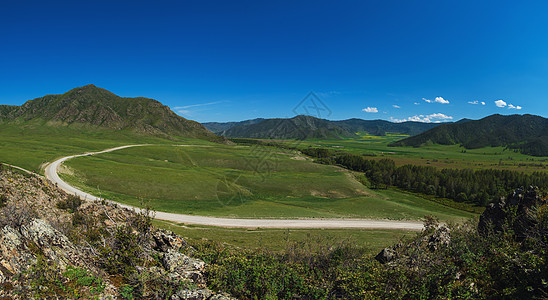 矢量山山区农村公路沥青土地国家顶峰曲线紫色旅游全景旅行爬坡背景