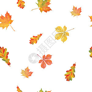 无缝模式与不同的秋叶 和枫叶孤立在白色背景上 它制作图案矢量图片