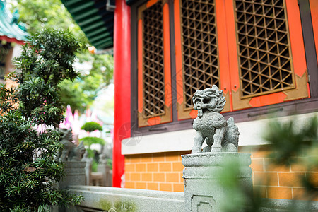 传统中国石狮狮子艺术雕塑金子雕像仪式警卫装饰品力量旅行文化图片