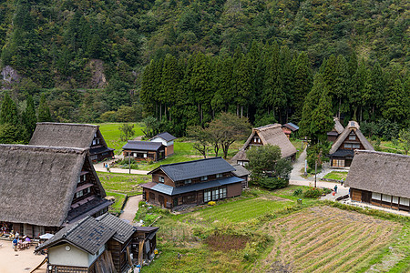 风格的白川戈传统房屋图片