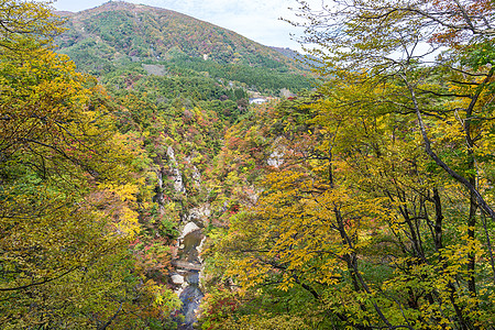 秋季的纳鲁科峡谷森林山腰树叶悬崖叶子风景场景旅行旅游季节背景图片