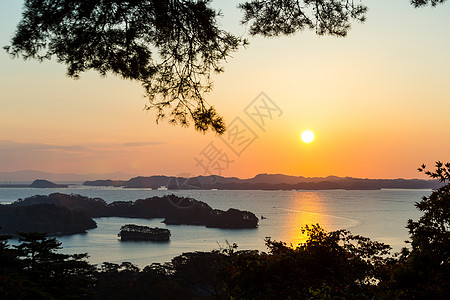 松岛日出海滩松树旅游旅行游客太阳景点日落花瓣晴天图片