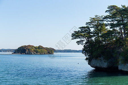 日本的松岛群岛港口支撑海岸森林晴天游客旅行阳光场景绿色图片