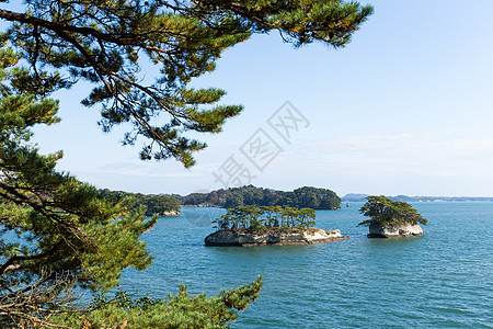 松岛晴天旅游蓝色风景阳光天空航行松树游客娱乐图片