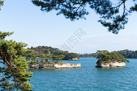 日本松岛湾蓝色森林旅行公园植物海洋土地风景岛屿旅游图片