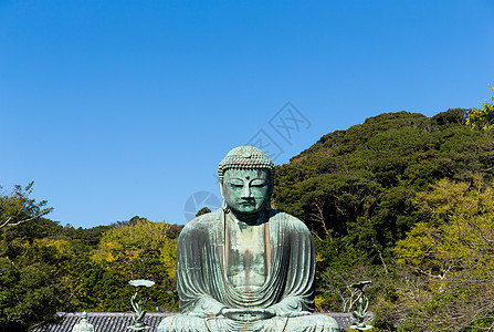 卡马库拉蓝色大佛叶子天空冥想观光历史性佛教徒地标宗教图片