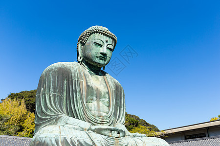 日本的巨佛旅行旅游雕像大佛崇拜叶子雕塑蓝色文化宗教图片