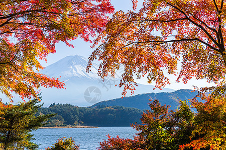 日本富士山 秋天从川口湖来的图片