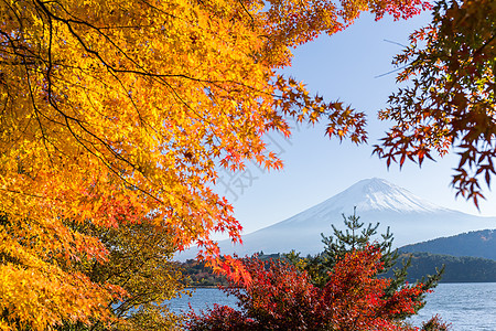 秋季藤山图片