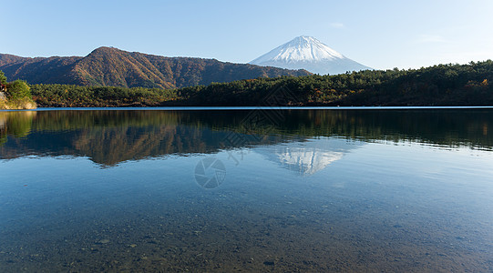 藤山和Saiko湖火山反射橙子风景水池爬坡植物天空季节斋子图片