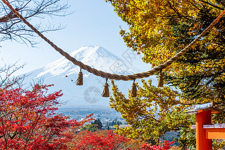 阿拉库拉·森金神社和山峰藤田图片