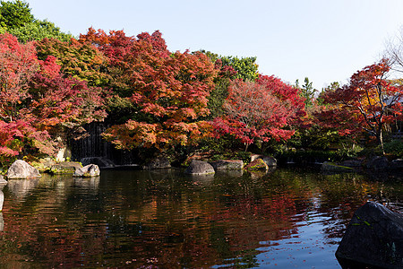 秋天传统日本Kokoen花园图片