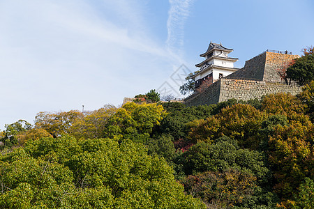 日本马鲁伽美城堡观光文化天空建筑学历史性丸龟四国旅行蓝色传统图片