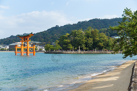 宫岛的树岛神社图片