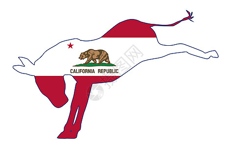 加利福尼亚州共和旗动物电子艺术政治旗帜绘画插图艺术品派对图片