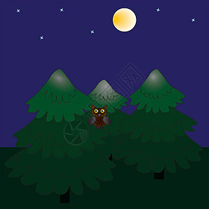 夜间的森林和满月背景图片